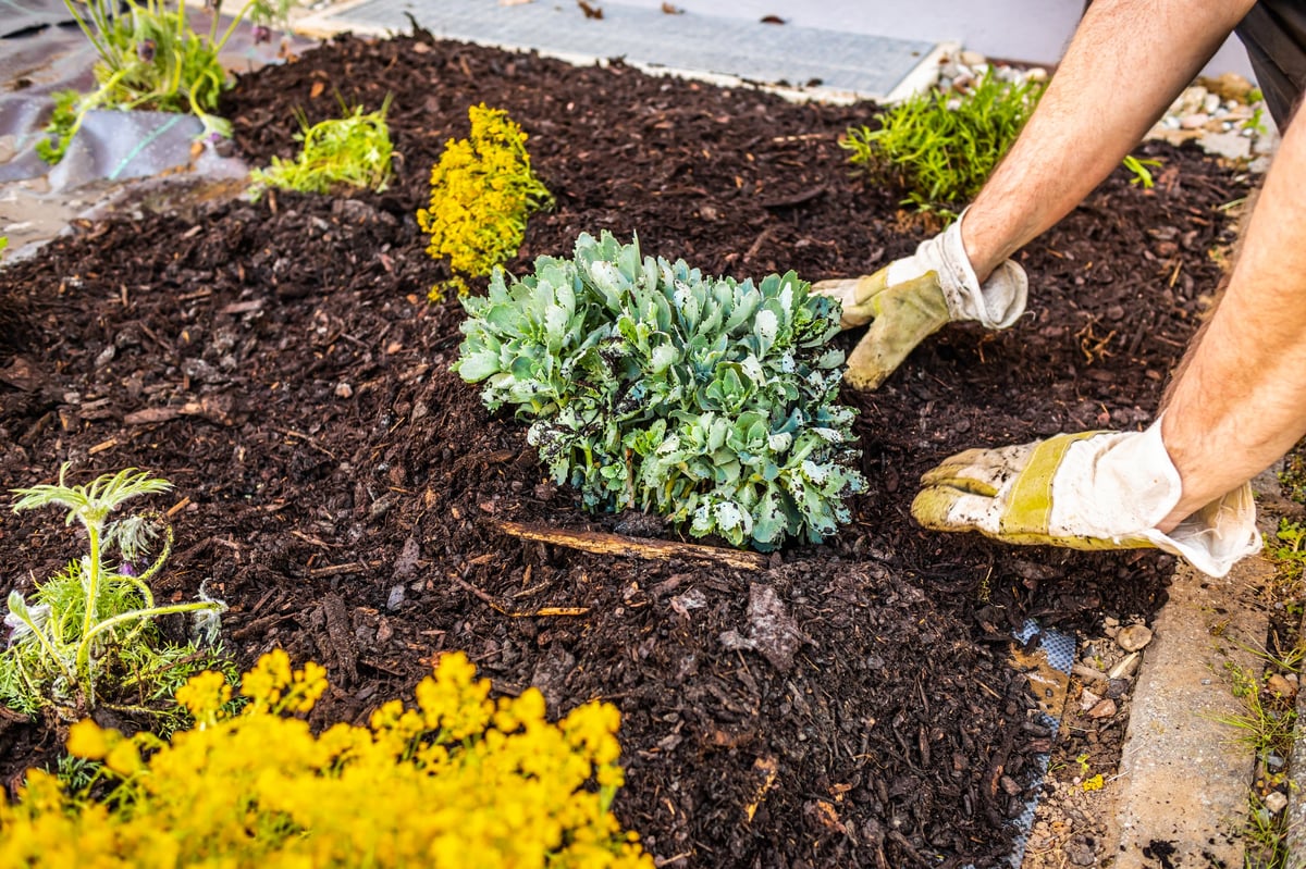 Mulch installation